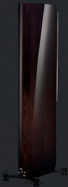 ��������� �������� confidence 30 raven wood high gloss